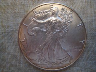 2011 - American Silver Eagle - Bu - Ungraded - Coin - 03 photo