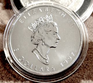 1997 Canada $5 Silver Maple Coin.  9999 Fine Silver 1 Oz Unc photo