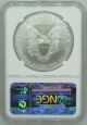 1995 Ngc Ms69 1oz American Silver Eagle $1 Coin - 171 - D1 Silver photo 1