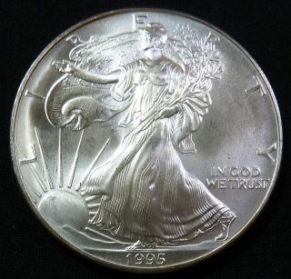 1995 Silver American Eagle Sae Troy Ounce Oz Us Coin Item 1463 photo