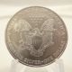 Silver American Eagle $1 Bullion Coin 1996 Single 1oz.  999 Silver photo 2