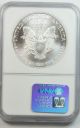 1995 $1 American Silver Eagle Dollar Graded By Ngc Ms69 Silver photo 1
