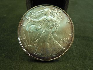 1996 Ase American Silver Eagle Key Date With Gorgeous Blue/ Purple Toning photo
