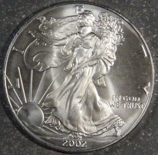 2002 American Silver Eagle J16 photo