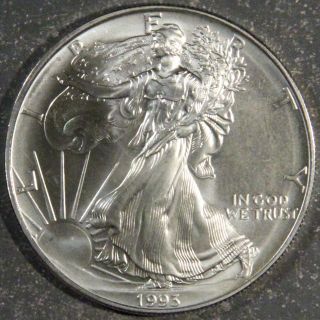1993 American Silver Eagle J7 photo