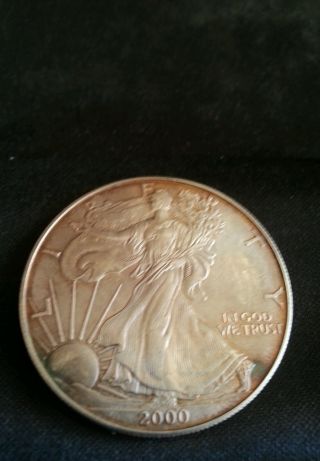 2000 $1 American Silver Eagle 1 Oz.  (brilliant Uncirculated) photo