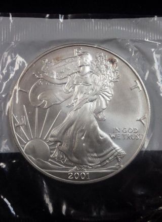 Littleton Coin Co.  Uncirculated 2001 American Eagle 99.  93 Silver $1 Coin photo