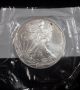 Littleton Coin Co.  Uncirculated 2001 American Eagle 99.  93 Silver $1 Coin Silver photo 1