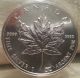 1999 1 Oz Silver Canadian Maple Leaf (brilliant Uncirculated) - In Cello Silver photo 1