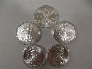 2013 1oz Silver Eagle Dollar Uncirculated From In Capsules photo