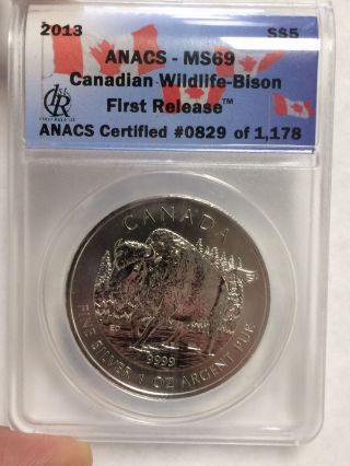 2013 Canadian Wildlife Bison Silver 1 Oz Coin photo