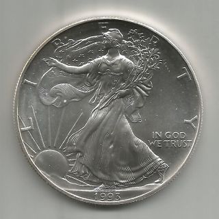 1993 American Silver Eagle (brilliant Uncirculated) photo