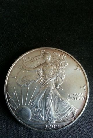 2004 1 Oz Silver American Eagle (brilliant Uncirculated) photo