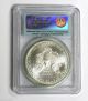 2010 American Silver Eagle Pcgs Ms 70 First Strike $1 Dollar Coin Silver photo 1