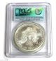 2010 American Silver Eagle Pcgs Ms 70 First Strike $1 Dollar Coin Silver photo 2