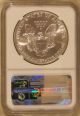 1991 Silver American Eagle 1 Oz Ngc Ms - 69 Coins: US photo 1