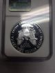 2000 P $1 Ngc Pf70 Ucameo American (proof Silver Eagle) - Pf70 Rare.  999 Silver photo 3