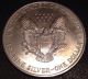 American Eagle Silver Dollar 1996 1oz (toned) Silver photo 1