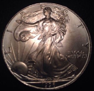 1996 American Eagle Silver Dollar 1oz (toned) photo