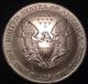 1996 American Eagle Silver Dollar 1oz (toned) Silver photo 1