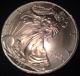 1996 American Eagle Silver Dollar 1oz (toned) Silver photo 2
