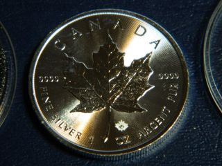 2014 Canadian Maple Leaf 1 Oz.  999 Fine Silver photo