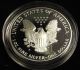1993 American Silver Proof Eagle Coin (1oz) W/ Box And Silver photo 1