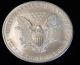 1997 American Silver Eagle Bullion Coin Rare Key Date Choice Gem Bu Nr Silver photo 3