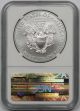 2012 - W Burnished Silver Eagle $1 Ms 70 Ngc Silver photo 1