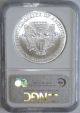 1996 $1 Silver American Eagle Ngc Ms 69 1 Troy Oz.  Bullion Coin - Brown Label Silver photo 1