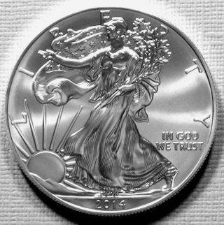 2014 American Silver Eagle 1 Troy Oz Brilliant Uncirculated Coin Nr photo
