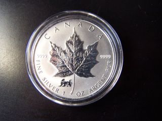 1998 Canada Silver Maple Leaf - Rare Low Mintage (only 25k) Tiger Privy Mark photo