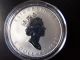 1998 Canada Silver Maple Leaf - Rare Low Mintage (only 25k) Tiger Privy Mark Silver photo 1