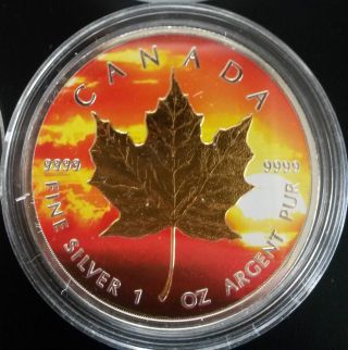 2014 1 Oz Ounce Canadian Maple Colorized Sun And Gold Gilded Coin.  9999 Rare photo
