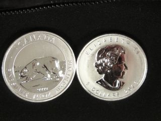 2013 Canadian Silver $8 Polar Bear 1.  5 Ounces photo