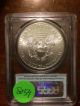 2012 Silver American Eagle Ms 70 Pcgs First Strike Coin 8054 Silver photo 4