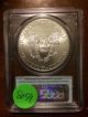 2012 Silver American Eagle Ms 70 Pcgs First Strike Coin 8054 Silver photo 5