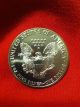 1989 Us Silver American Eagle One Dollar 1 Oz Coin Bu Brilliant Uncirculated Silver photo 1