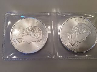 2x Two 2015 1.  25 Oz $8 Canadian Silver Bison Coin (bu) photo