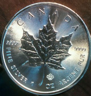 2014 1 Oz Silver Canadian Maple Leaf photo