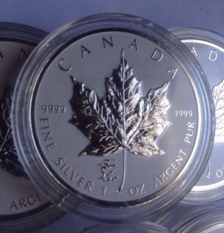 2012 1 Oz Canadian Silver Maple Leaf - Dragon Privy (reverse Proof) In Capsule photo