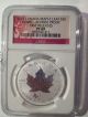 (get One) 2014 1 Oz.  Canadian Silver Maple Leaf Horse Privy Proof Coin Ngc Pf69 Coins: Canada photo 1