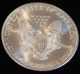 2002 American Silver Eagle Bullion Coin Rare Key Date Choice Gem Bu Nr Silver photo 2