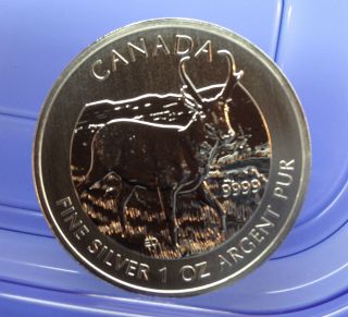 2013 Canada 1oz Silver.  9999 Antelope 5 Dollars Wildlife Series Coin photo