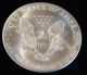 2001 American Silver Eagle Bullion Coin Rare Key Date Choice Gem Bu Nr Silver photo 2