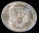 2001 American Silver Eagle Bullion Coin Rare Key Date Choice Gem Bu Nr Silver photo 3