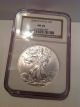 2008 - W Silver American Eagle Ngc Ms 69 Silver photo 1