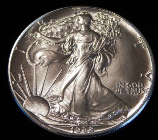 1988 American Silver Eagle Bullion Coin Rare Key Date Choice Gem Bu Nr photo