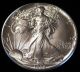 1988 American Silver Eagle Bullion Coin Rare Key Date Choice Gem Bu Nr Silver photo 1