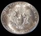 1988 American Silver Eagle Bullion Coin Rare Key Date Choice Gem Bu Nr Silver photo 2